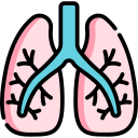 pulmones